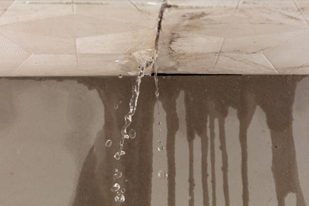 Professional Sewage Cleanup technician working in Leesburg, AL